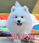 萌语宠物食品店