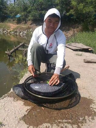 永祥青鱼专攻
