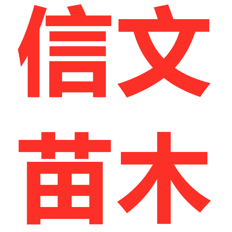 信文绿化苗木