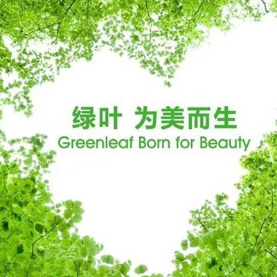 绿叶爱生活花猫店