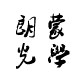 朗蒙光学