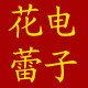 花蕾电子