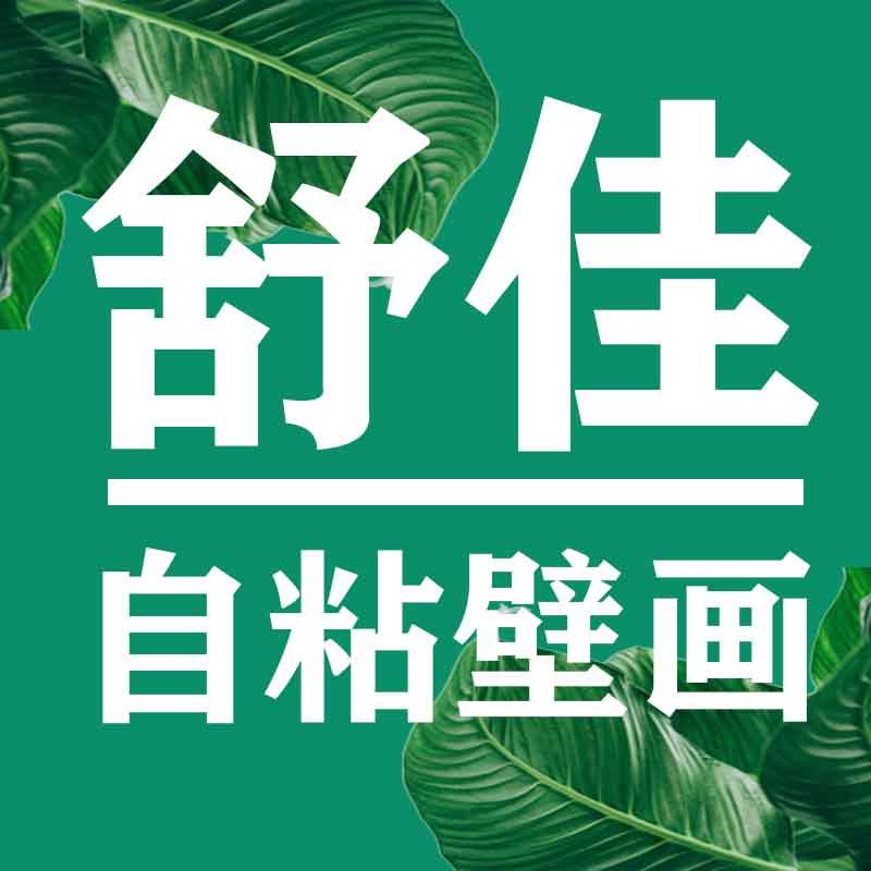 舒佳壁画