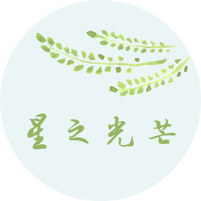星之光芒 店铺LOGO