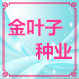 金叶子种业