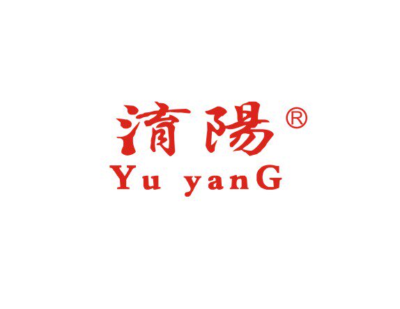 淯阳旗舰店 店铺LOGO