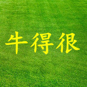 牛得很牛角梳老店靓梳