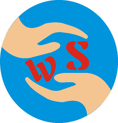 伟盛电机 店铺LOGO