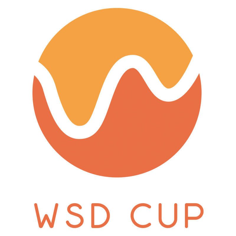 wsd旗舰店