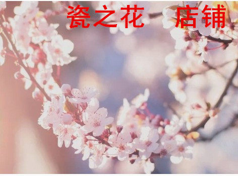 瓷之花 店铺LOGO