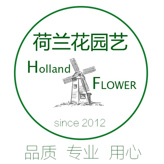 荷兰花园艺
