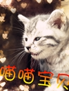喵仙镇