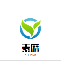 素麻独家定制精品童装 店铺LOGO