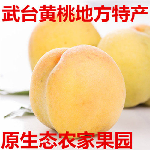 武台黄桃原产地 店铺LOGO
