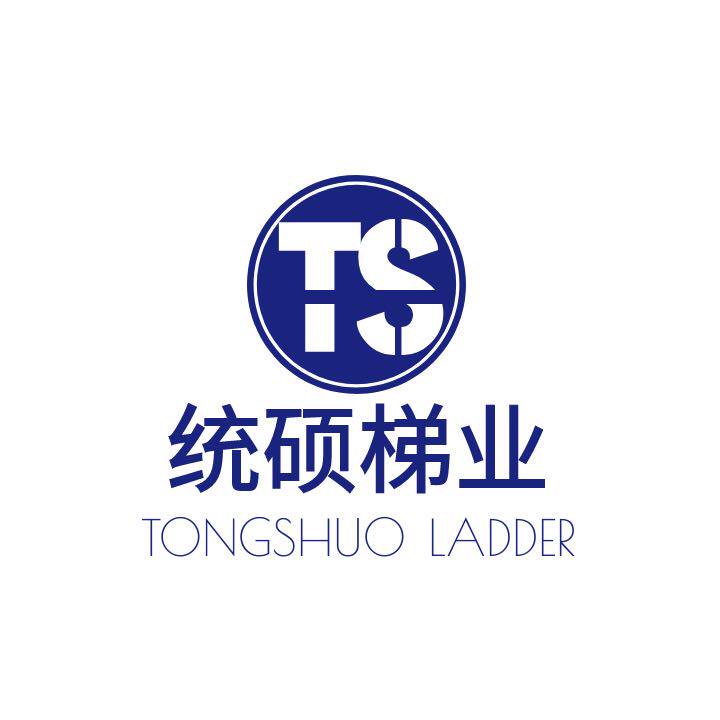 统硕旗舰店