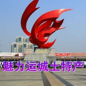 魅力运城土特产