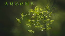 吉祥花坊