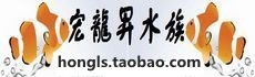 青岛宏龙昇水族器材