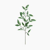 以勒外贸家居 店铺LOGO