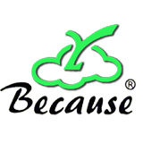 because旗舰店