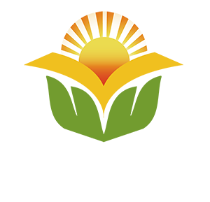 阳光图书音像专营店