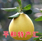 平和特产汇
