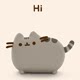 韩大猫家清新外贸女装