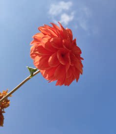 清润精品兰苑
