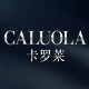 卡罗莱手表旗舰店 店铺LOGO