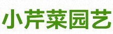 小芹菜园艺