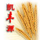 残疾人立志创业店 店铺LOGO