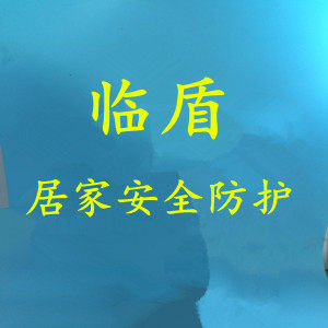 临盾眼镜面罩厂