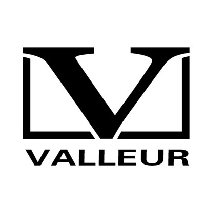 凡蒂音响VALLEUR