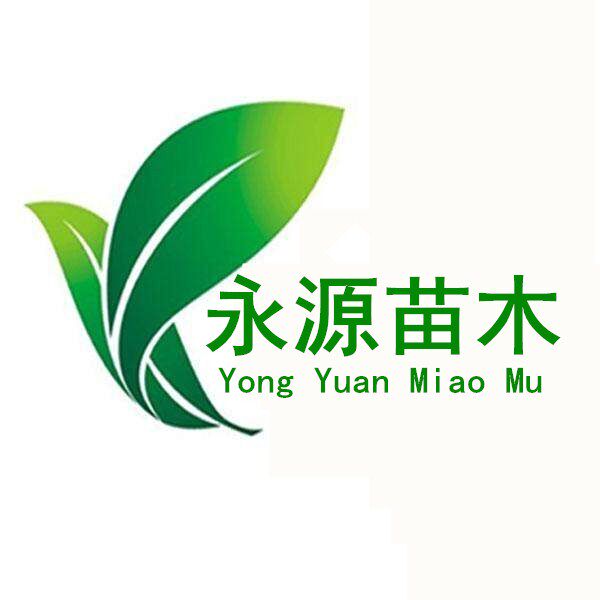 苍溪永源苗木种植园