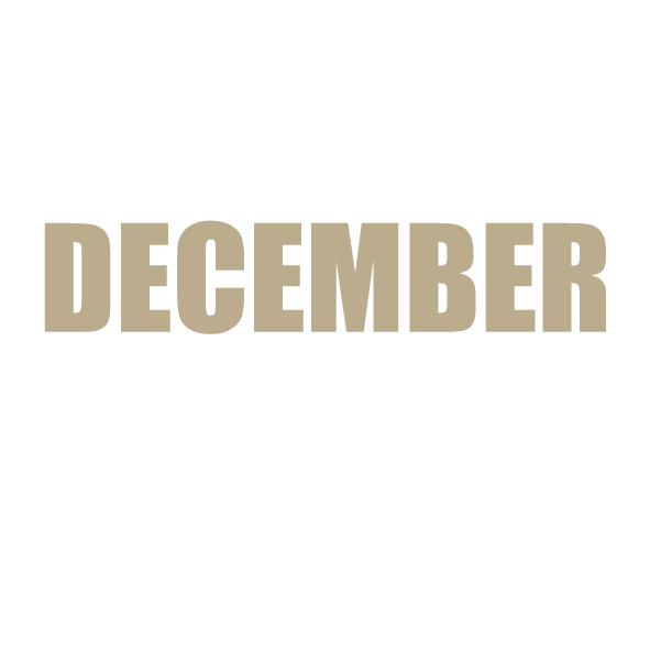 DecemberRush