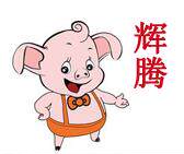 辉腾动保