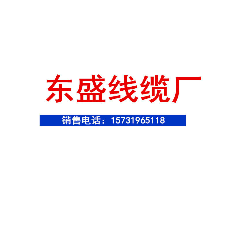 东盛线缆工厂店