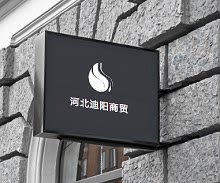 河北迪阳商贸有限公司