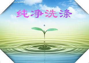 纯净洗涤