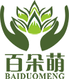 百朵萌多肉花园