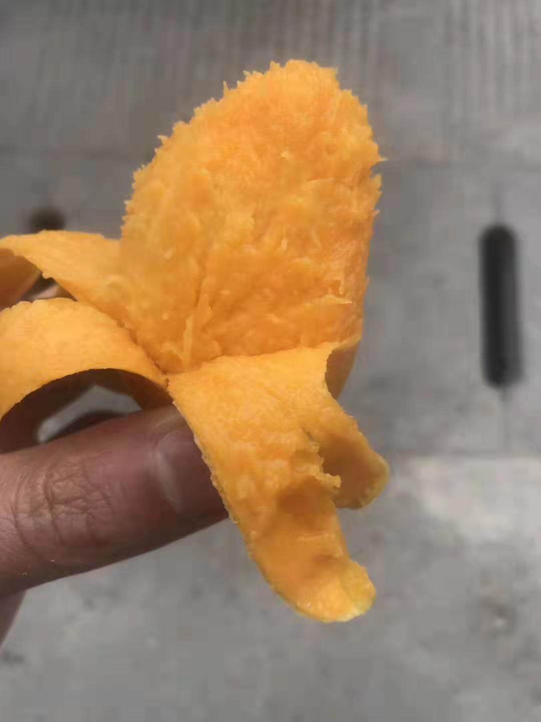 百色广味土特产