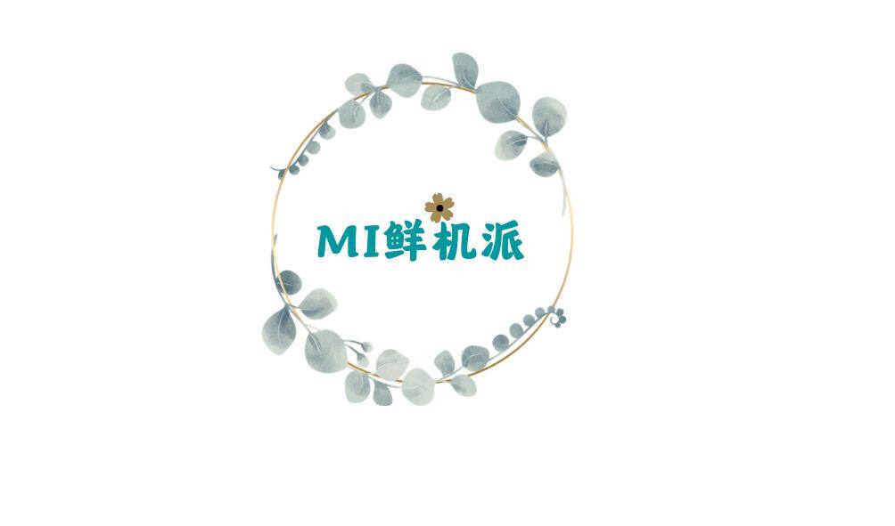 MI鲜机派