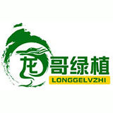 龙哥绿植