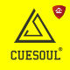 CUESOUL企业官方店 店铺LOGO