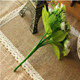 Z小姐的布艺店