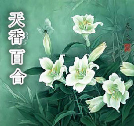 佳贝宁外贸店