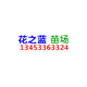 花之蓝苗场
