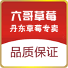丹东6哥草莓