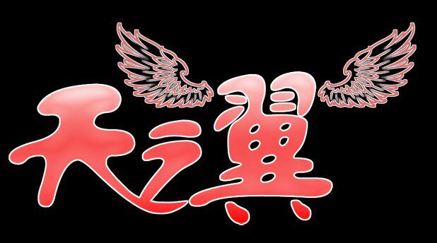 飞机模型--天之翼 店铺LOGO