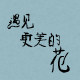 星的花艺丝带